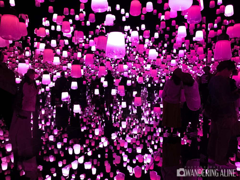 Exposition TeamLab
